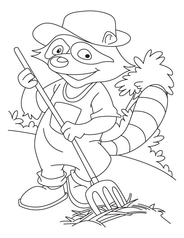 Raccoon Dog coloring #11, Download drawings