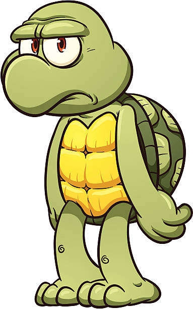 Radiated Tortoise clipart #11, Download drawings