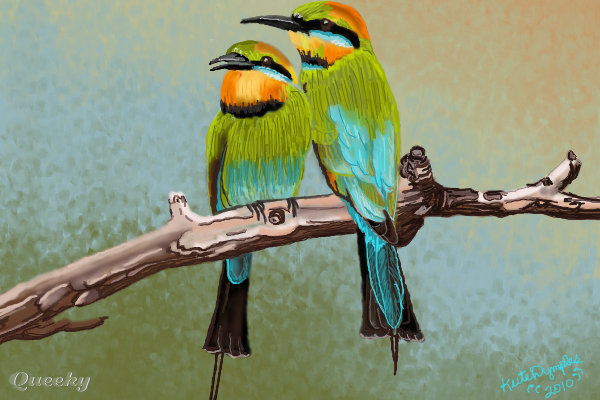 Rainbow Bee-eater coloring #2, Download drawings