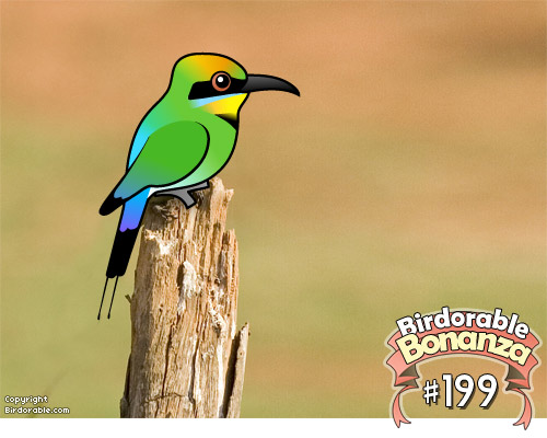 Rainbow Bee-eater coloring #19, Download drawings