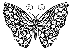 Rainbow Butterfly coloring #11, Download drawings