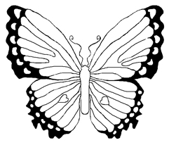 Rainbow Butterfly coloring #9, Download drawings