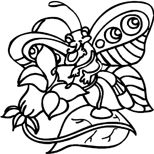 Rainbow Butterfly coloring #15, Download drawings