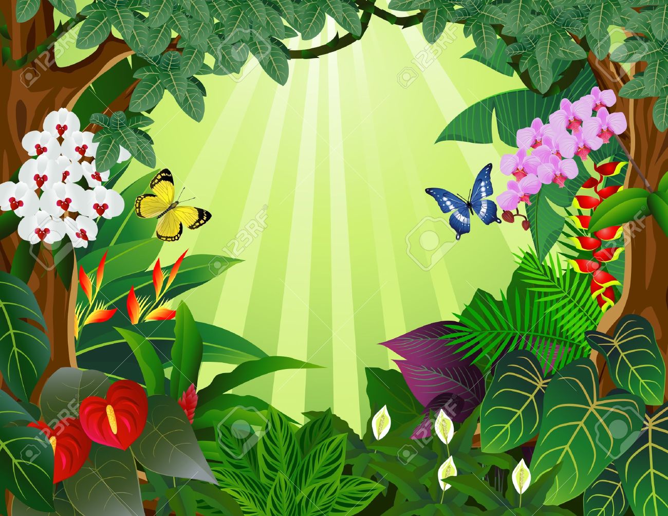 Rainforest clipart #8, Download drawings