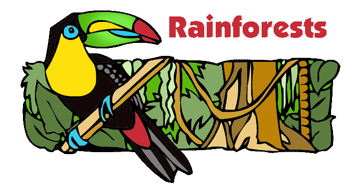 Rainforest clipart #9, Download drawings