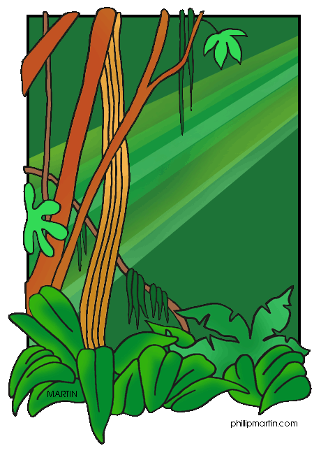 Rainforest clipart #13, Download drawings