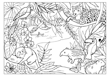 Rainforest coloring #16, Download drawings
