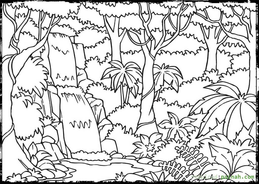 Rainforest coloring #2, Download drawings
