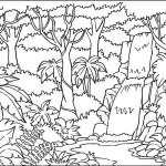 Rainforest coloring #17, Download drawings