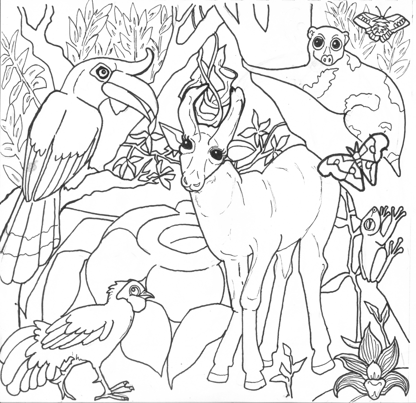Rainforest coloring #4, Download drawings