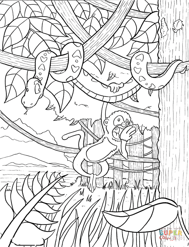 Rainforest coloring #11, Download drawings