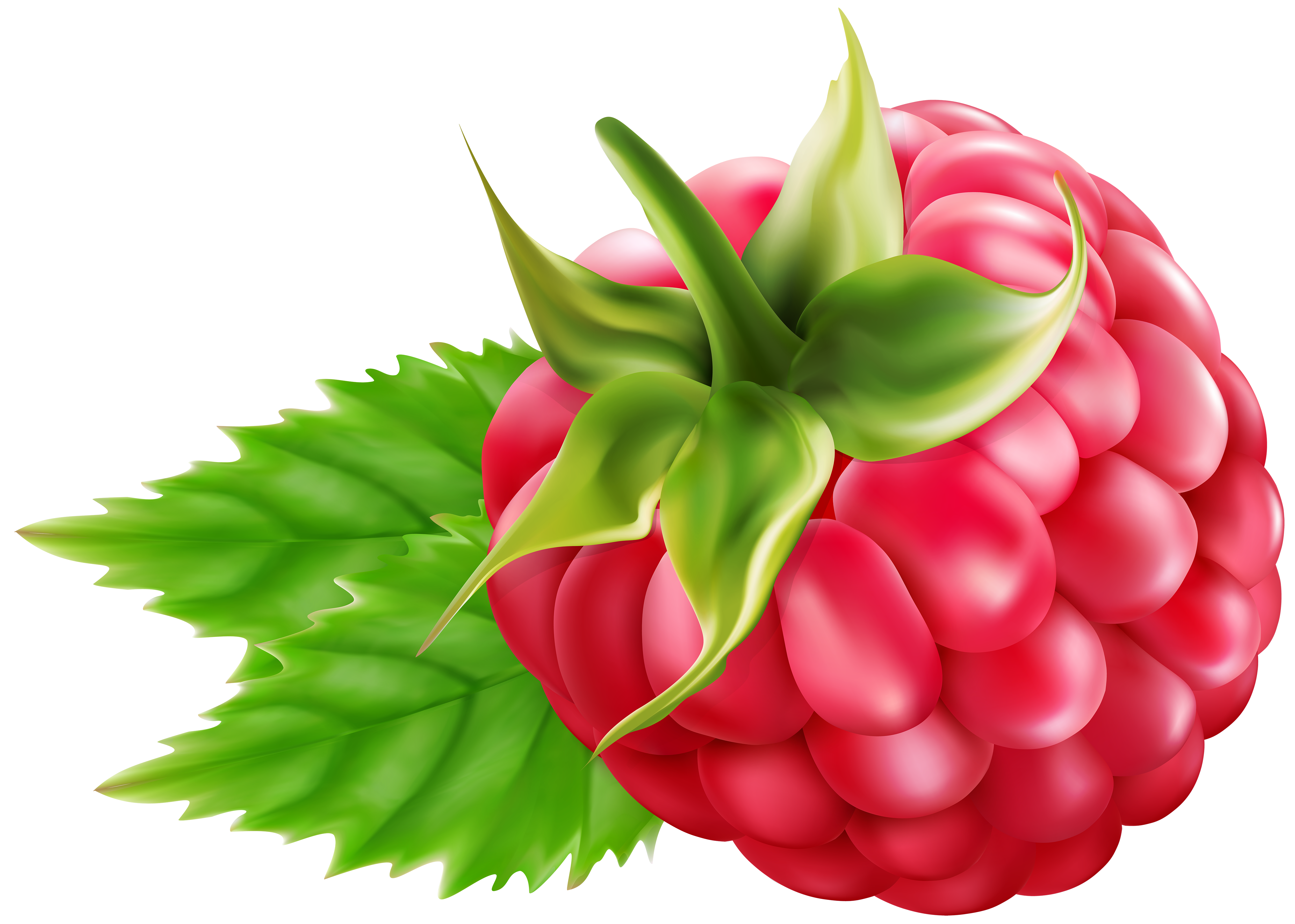 Raspberry clipart #2, Download drawings