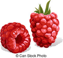 Raspberry clipart #16, Download drawings
