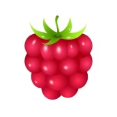 Raspberry clipart #19, Download drawings