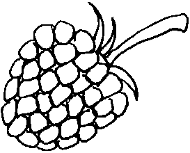 Raspberry coloring #2, Download drawings