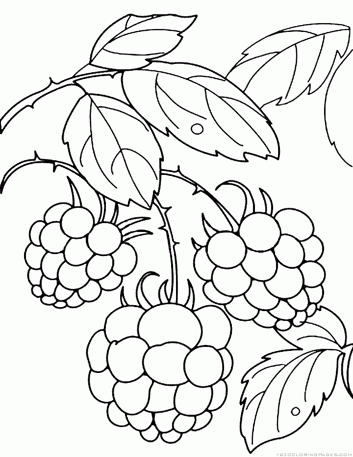 Raspberry coloring #6, Download drawings
