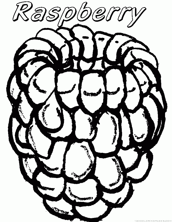 Raspberry coloring #6, Download drawings