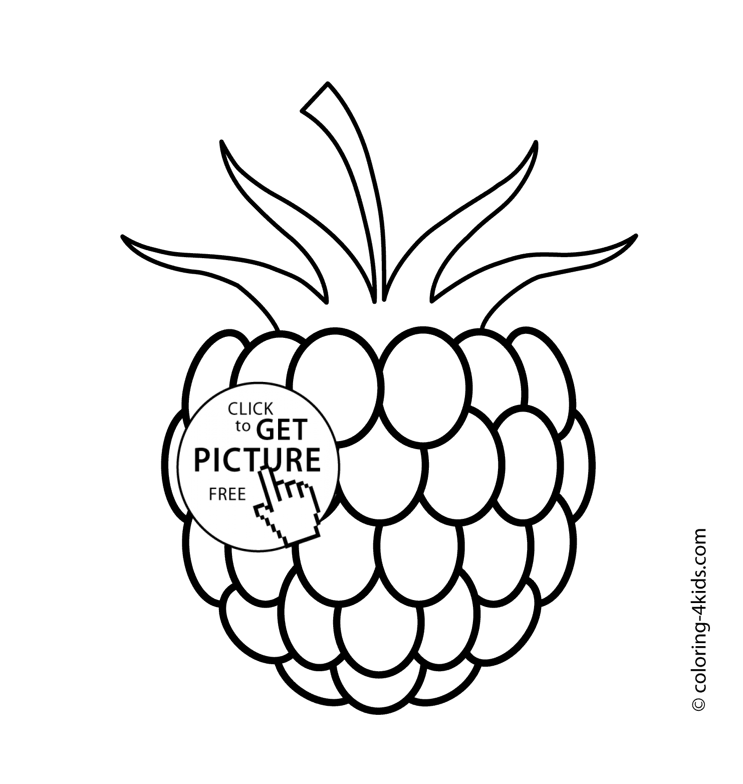 Raspberry coloring #3, Download drawings