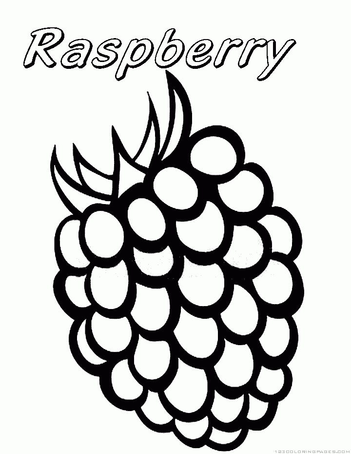 Raspberry coloring #17, Download drawings