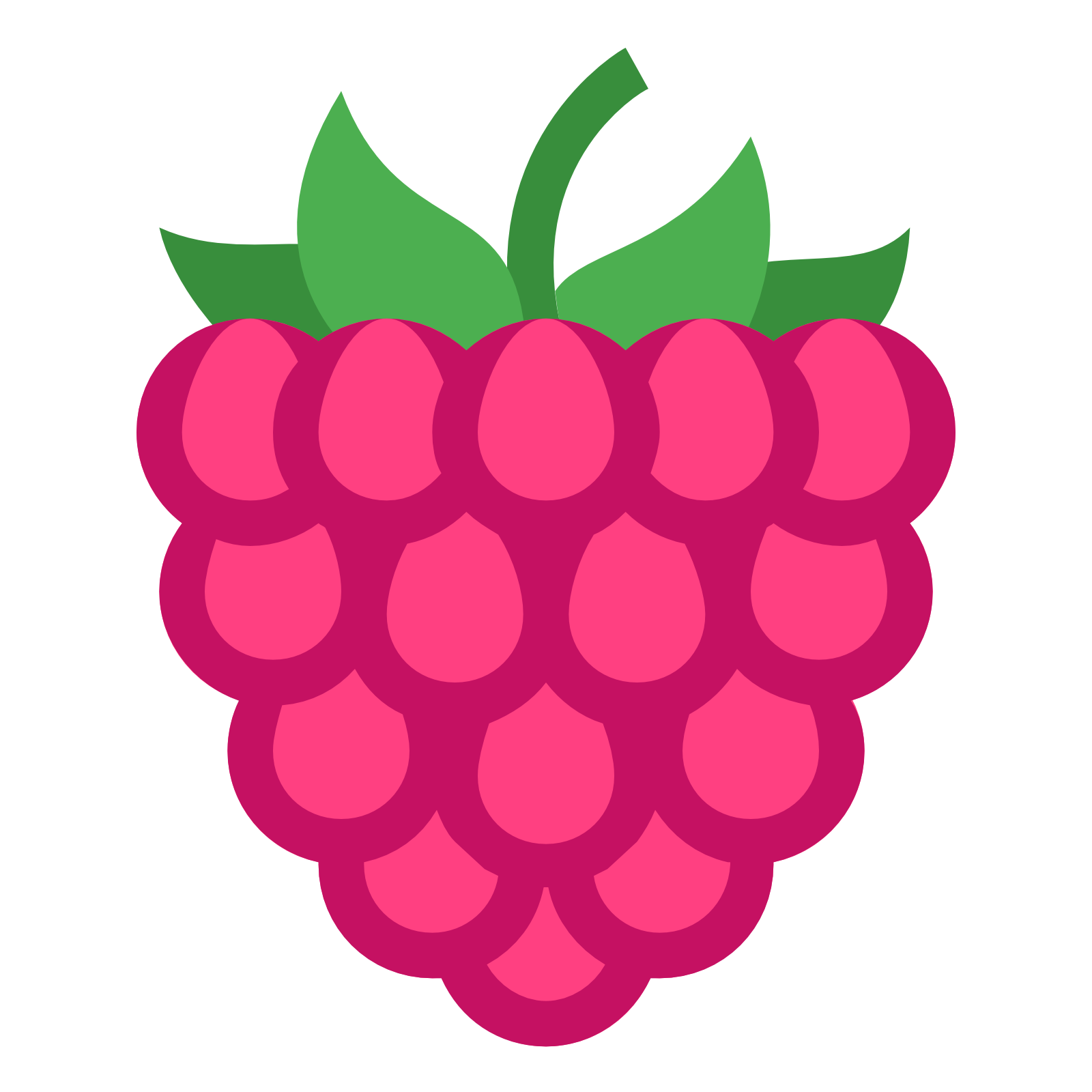 Raspberry svg #11, Download drawings