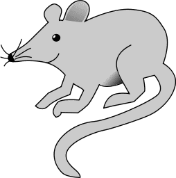 Rat clipart #7, Download drawings