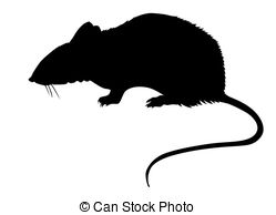 Rat clipart #15, Download drawings