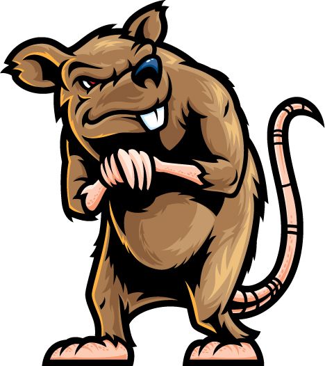 Rat clipart #2, Download drawings