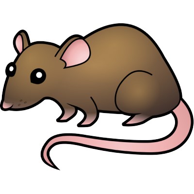 Rat clipart #13, Download drawings
