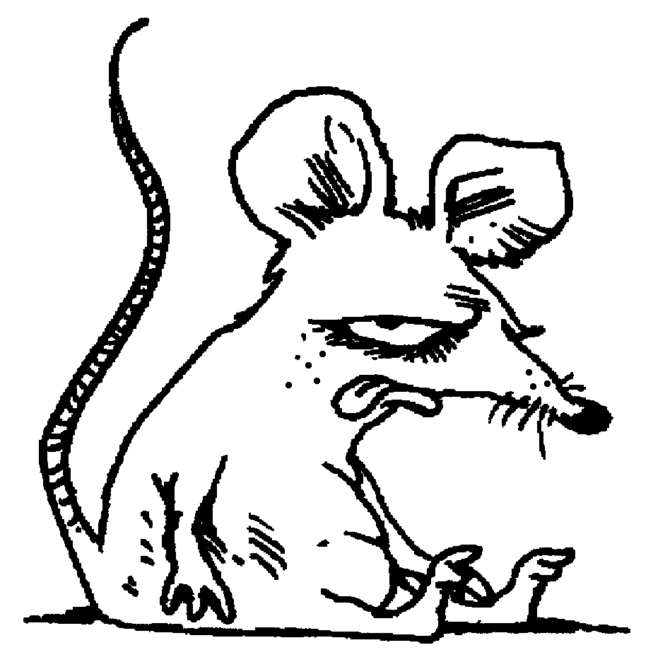 Rat coloring #11, Download drawings