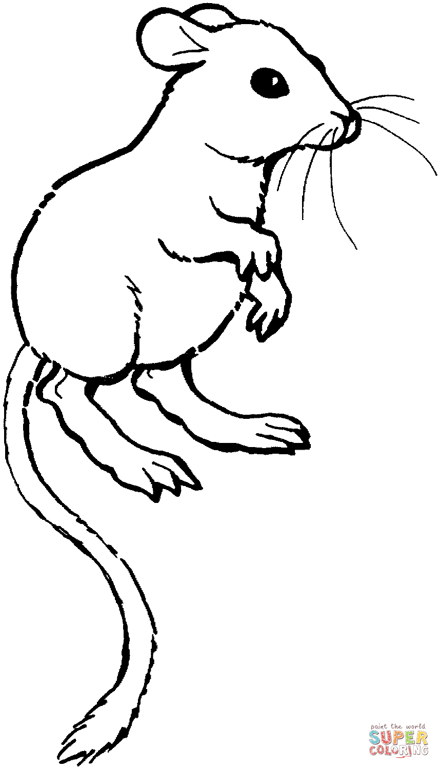 Rat coloring #8, Download drawings