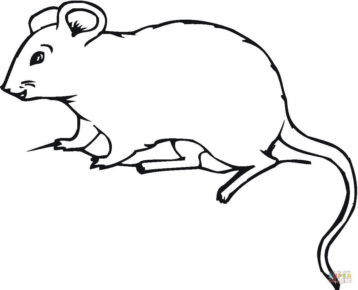 Rat coloring #7, Download drawings