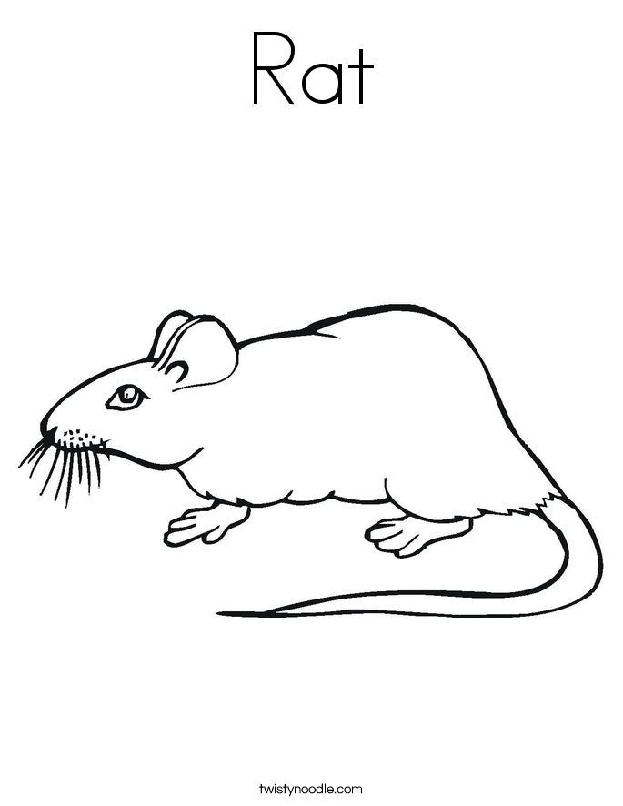 Rat coloring #19, Download drawings