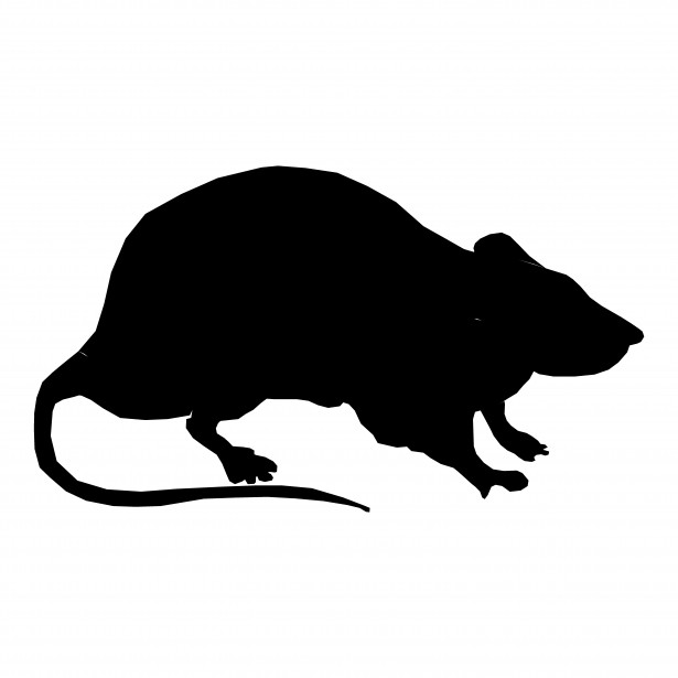 Rat svg #15, Download drawings