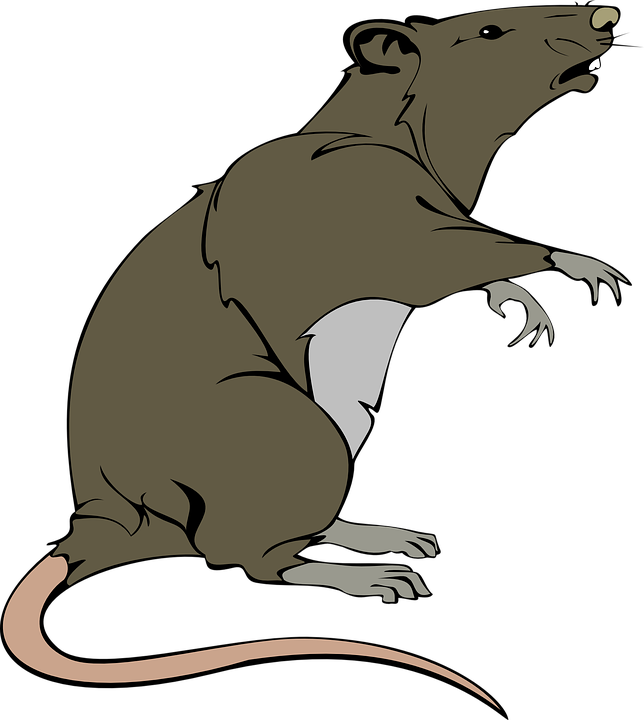 Rat svg #8, Download drawings