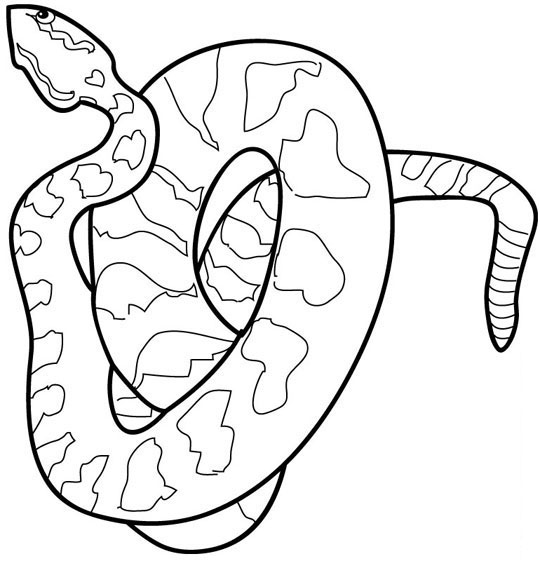 Rattlesnake coloring #9, Download drawings