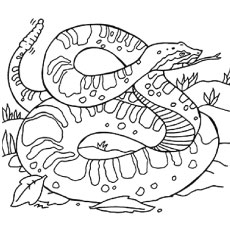 Rattlesnake coloring #19, Download drawings