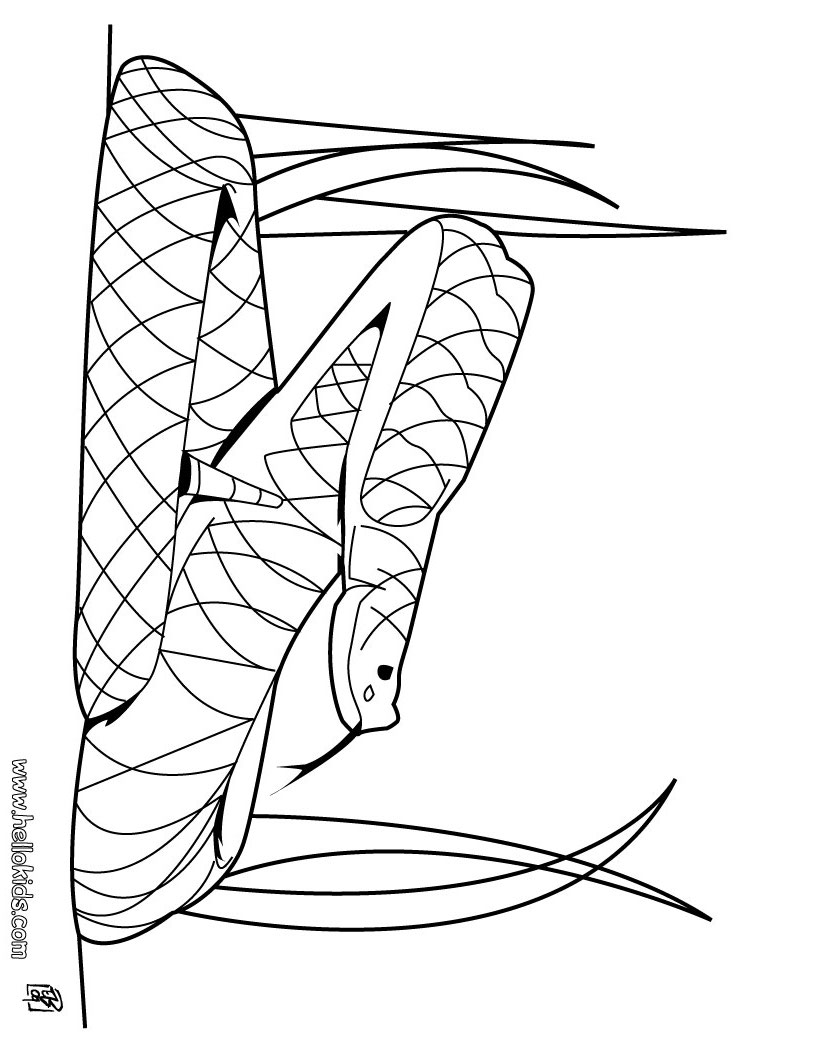 Rattlesnake coloring #20, Download drawings