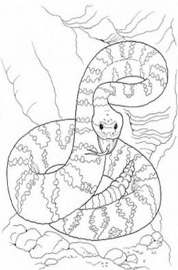 Rattlesnake coloring #18, Download drawings