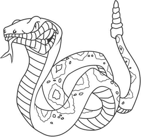 Rattlesnake coloring #4, Download drawings