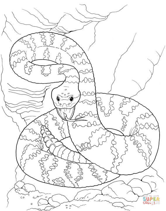 Rattlesnake coloring #2, Download drawings