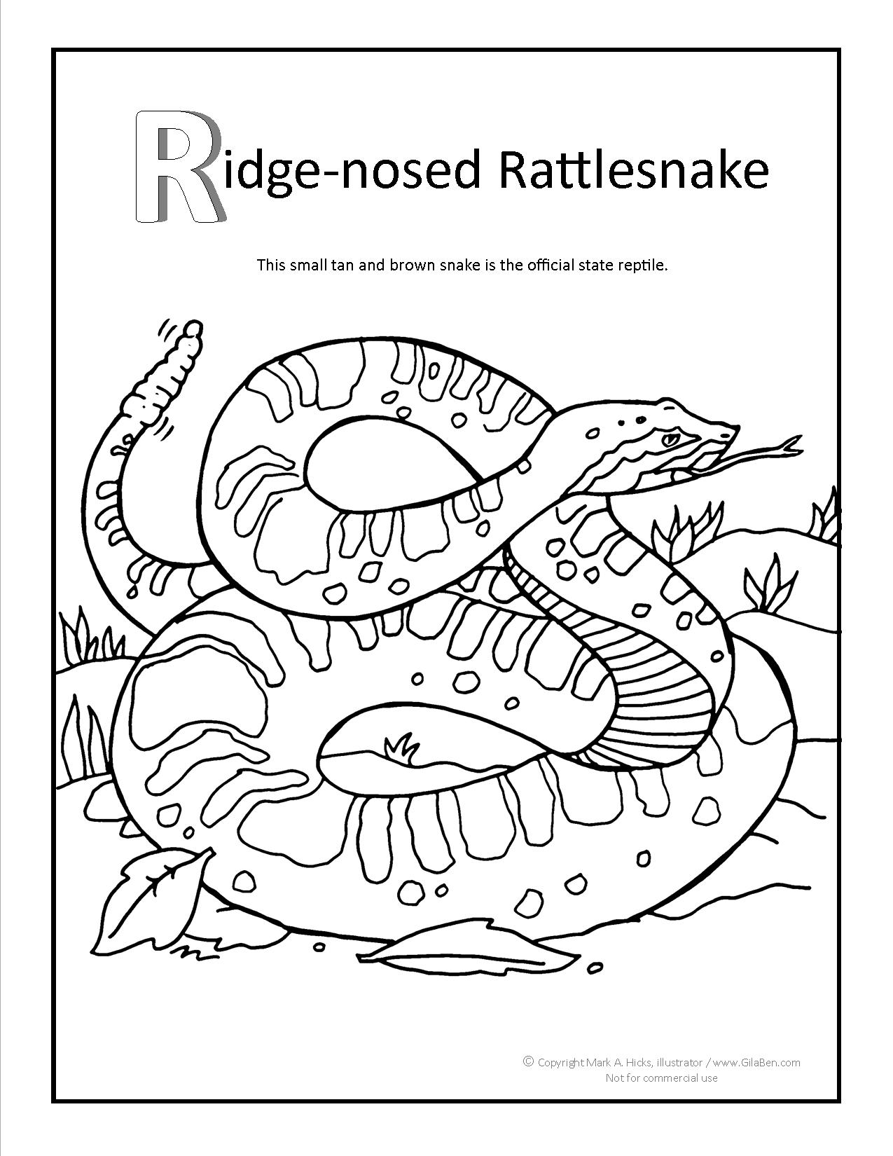 Rattlesnake coloring #11, Download drawings