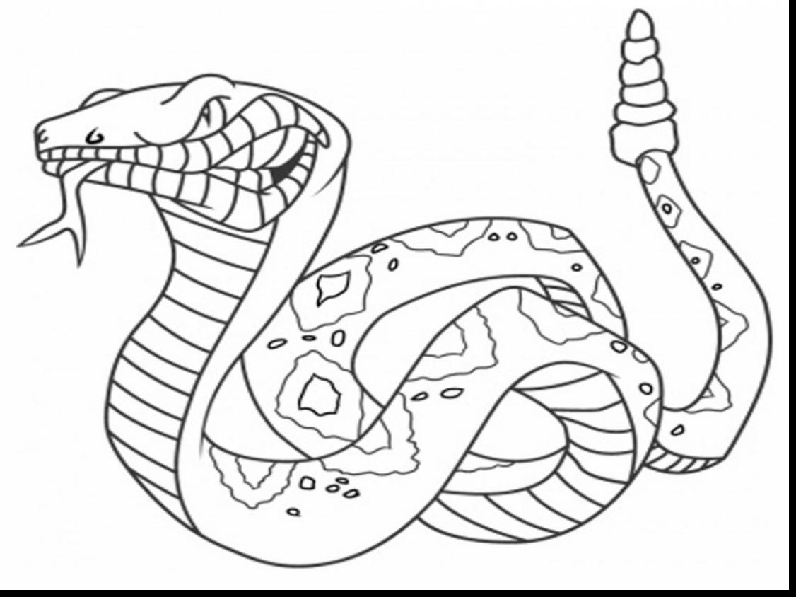 Rattlesnake coloring #6, Download drawings