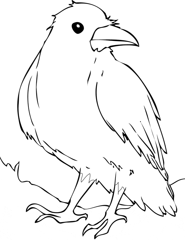 Raven coloring #12, Download drawings
