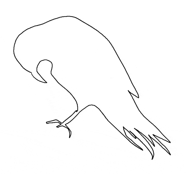 Raven coloring #14, Download drawings