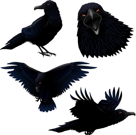 Raven svg #8, Download drawings