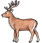 Red Deer clipart #17, Download drawings