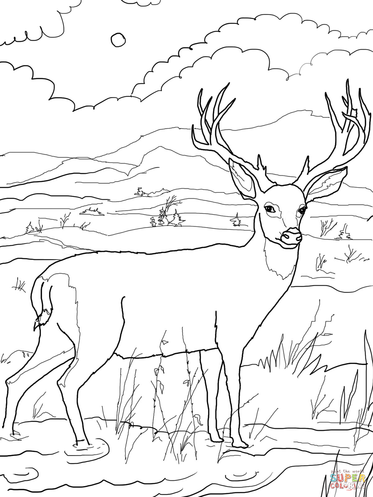 Red Deer coloring #5, Download drawings