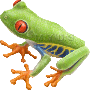 Red Eyed Tree Frog clipart #15, Download drawings