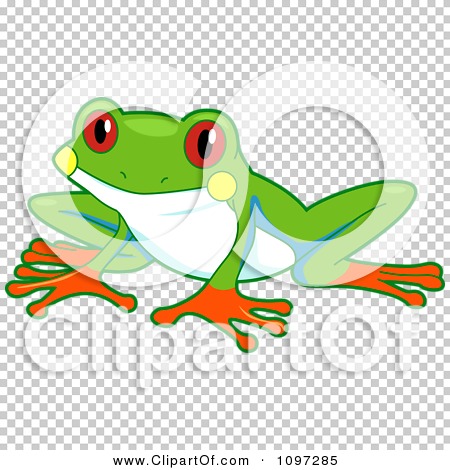 Red Eyed Tree Frog clipart #1, Download drawings