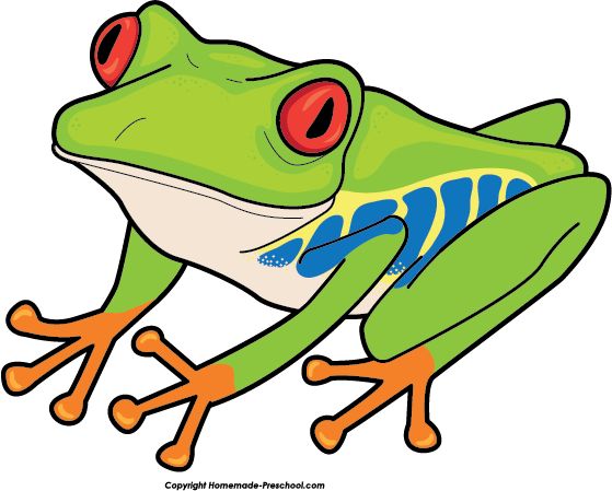 Red Eyed Tree Frog clipart #4, Download drawings